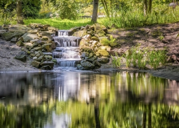 Perdere peso bevendo più acqua